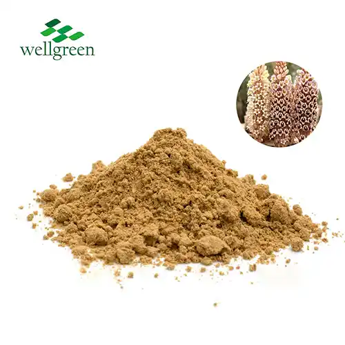 Cistanche Extract Powder